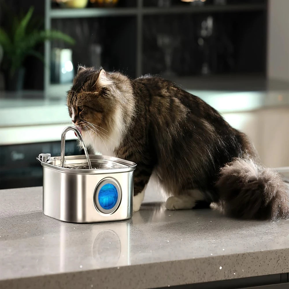 Fontaine à Eau Premium Animora 3,2 L en Acier Inoxydable - Eau fraîche et filtrée pour chiens et chats