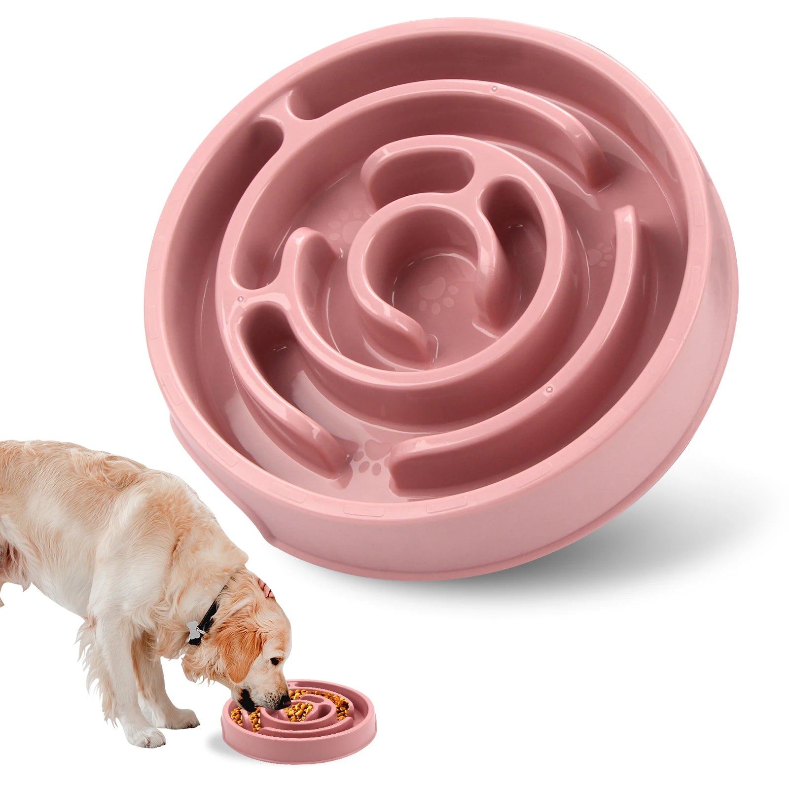 Gamelle Anti-Glouton Premium Animora - Repas plus lents, Digestion plus saine pour chiens