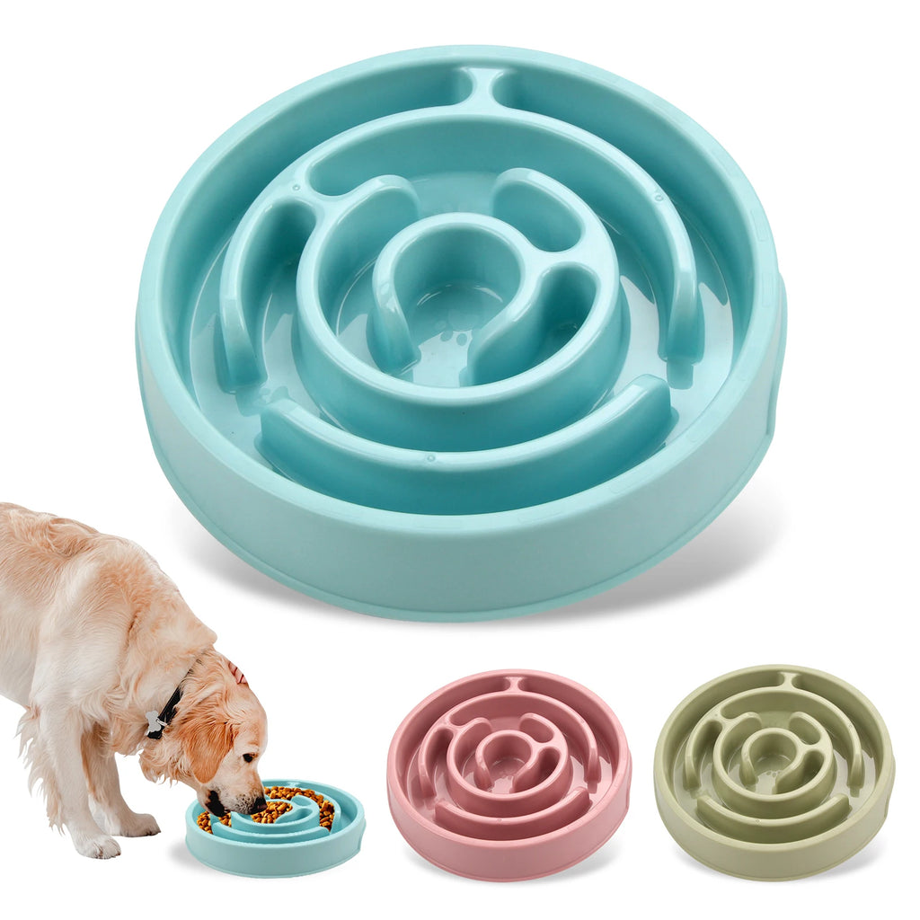 Gamelle Anti-Glouton Premium Animora - Repas plus lents, Digestion plus saine pour chiens