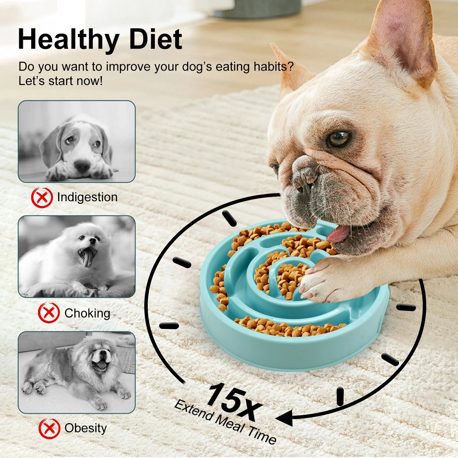 Gamelle Anti-Glouton Premium Animora - Repas plus lents, Digestion plus saine pour chiens